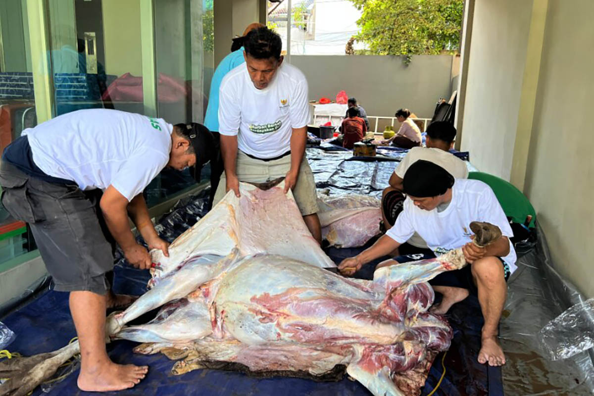 Tani Merdeka Indonesia dan APPSI Bagikan Daging Kurban untuk Warga dan Pengurus di Jakarta