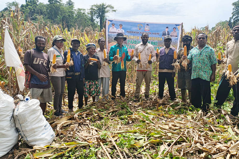 Garap Lahan dan Tata Irigasi di Nabire Barat, Tani Merdeka Indonesia Lanjutkan Ketahanan Pangan Papua