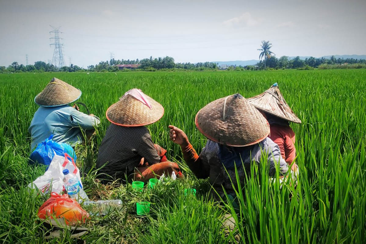 Sektor Pertanian Disebut Bisa Jadi Kekuatan Ekonomi di Tengah Rupiah Melemah