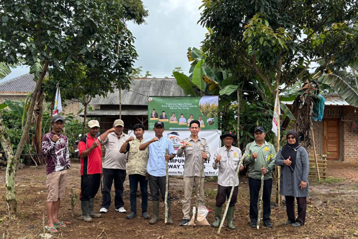Tani Merdeka Lampung Barat Tanam Jagung Bersama PPL dan Kelompok Tani di Way Tenong